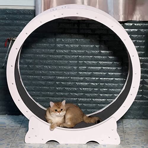Laufband mit weißem Katzenrad, leise, schweres Laufband für Katzenspielzeug/Kratzbrett, keine Lücke Anti-Klemm-Trainingsrad für Katze drinnen (Größe: S-Innendurchmesser 80 cm (31 1/2")) von LIJBN