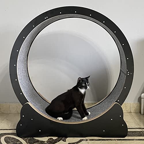 Laufmatte für Katzenrad, leise, Rollmatte, große Kätzchen, Schwarz, mit Bremsmatte, Spielzeug für Katzen im Innenbereich 80/90/100 cm (Größe: Laufmatte für Katzenrad, leise, Rollmatte, große Kätzchen, Schwarz, mit Bremsmatte, Spielzeug für Katzen im Innenbereich 80/90/100 cm (Größe: von LIJBN