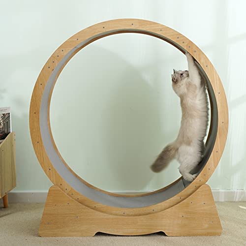 Laufrad für Katzen, klein, mittelgroß, kleines Lückenrad für Laufband für Katzen, leises Laufband/Katzenrad/Kratzbrett für Katzen, Spielzeug für Katzen Laufrad für Katzen, klein, mittelgroß, kleines Lückenrad für Laufband für Katzen, leises Laufband/Katzenrad/Kratzbrett für Katzen, Spielzeug für Katzen von LIJBN