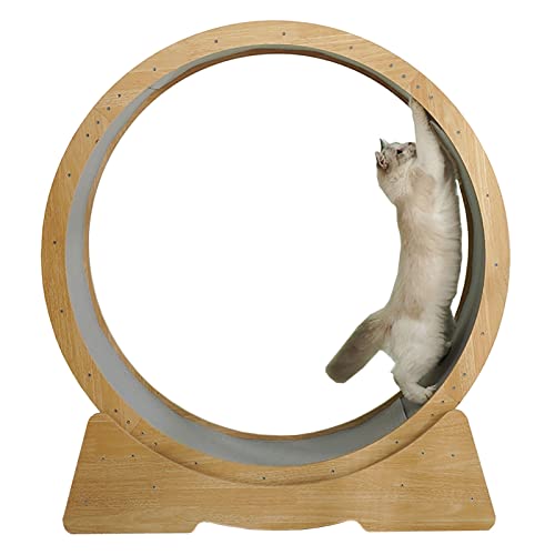 Laufrad für kleine und große Katzen, natürliche Holzfarbe, Sicherheits-Laufrad, kleine Lücke, leise Rollen, Katzenrad (Innendurchmesser: 79 cm) von LIJBN