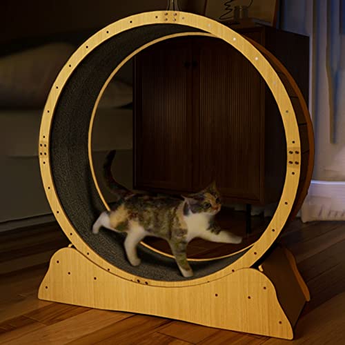Laufräder für Indoor-Katzen ohne Gap, leises Laufband für Katzen HDF Anti-Pizzic - Durchmesser 31,5" / 35" / 39" / 44,5", einfach zu installieren (Größe: S-80cm Laufräder für Indoor-Katzen ohne Gap, leises Laufband für Katzen HDF Anti-Pizzic - Durchmesser 31,5" / 35" / 39" / 44,5", einfach zu installieren (Größe: S-80cm von LIJBN