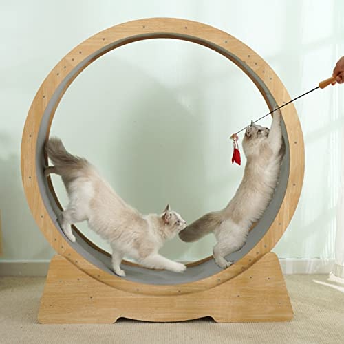 Rad für Katzen für schwere Verwendungen/Laufband für Innenräume, Spielzeug für Übungen für Katzen aller Größen aus Holz, Trainer für Trainingsspiele PE Rad für Katzen für schwere Verwendungen/Laufband für Innenräume, Spielzeug für Übungen für Katzen aller Größen aus Holz, Trainer für Trainingsspiele PE von LIJBN