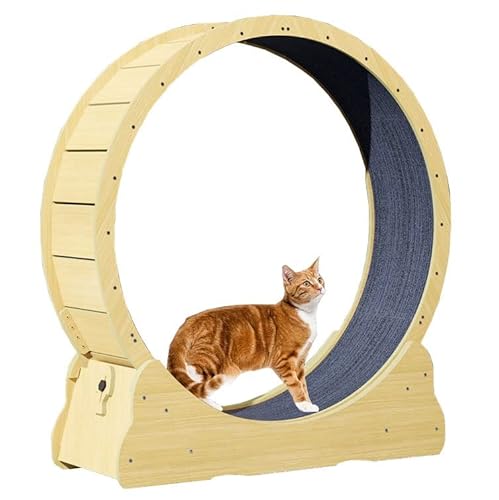 Rad für Übungen für Katzen im Innenbereich, leise Rollen für Katzen, Rad für Übungen für Katzen mit Verriegelungsstift und austauschbarer Spur (Größe: Inner Durchmesser von LIJBN