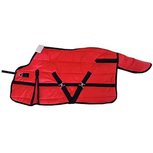 Rot 220g Füllung Verstellbare Winterpferdedecke für Pony Mini Fohlen, 420D Ripstop wasserdichte Pferdedecke Stalldecke 95-110cm(35''-45'') (Size:100cm/39inch,Color:red) von LIJBN