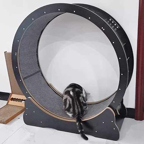 Schwarzes Katzen-Laufrad, klein, mittel, groß – kleine Lücke, leises Katzenlaufrad/Katzenlaufrad/Katzenkratzbrett, Indoor-Katzenspielzeug (Größe S: Innendurchmesser 80 cm) von LIJBN