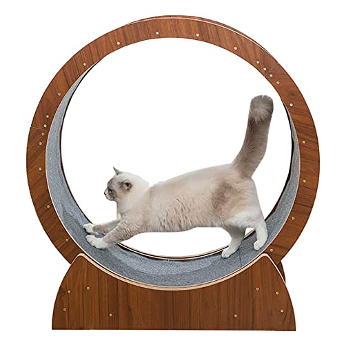 Schweres Laufband für Katzen, keine Öffnung, Anti-Pinch Indoor-Katzen, Gewichtsverlust-Gerät, Holzfarbe, klein, mittel, großes Katzenlaufrad Schweres Laufband für Katzen, keine Öffnung, Anti-Pinch Indoor-Katzen, Gewichtsverlust-Gerät, Holzfarbe, klein, mittel, großes Katzenlaufrad von LIJBN