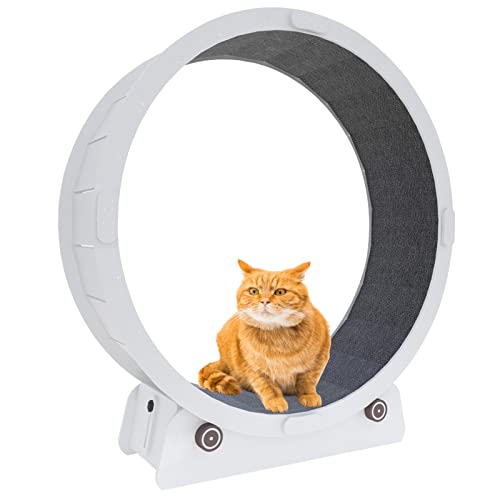 Trainingsrad für den Innenbereich für dicke Katzen, die Gewicht verlieren, Laufband für Katzen ohne Raumgestaltung, Anti-Pin-Sportspielzeug für Sicherheit und leise für Trainingsrad für den Innenbereich für dicke Katzen, die Gewicht verlieren, Laufband für Katzen ohne Raumgestaltung, Anti-Pin-Sportspielzeug für Sicherheit und leise für von LIJBN
