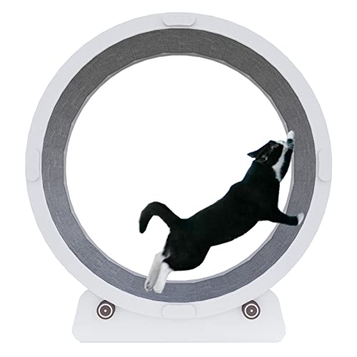 Weißes Laufband für große Katzen, leises Indoor-Holz-Katzen-Trainingsrad, Spielzeug mit Bremse, Teppichboden, Laufbrett, Kratzbrett, 80/90/100 cm (Größe L: Innendurchmesser 100 cm) von LIJBN