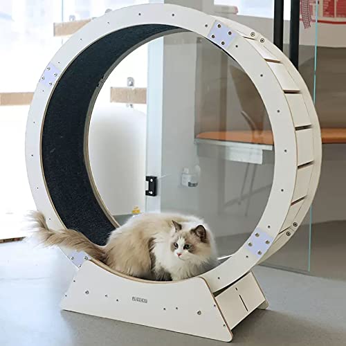 Weißes leises Katzen-Laufrad, Laufband, Massivholz, Katzenlaufrad, Haustierfreundlich, Indoor-Katzen-Spinning-Sportrad mit Sicherheitsschloss (Größe: Innendurchmesser: 110 cm) von LIJBN