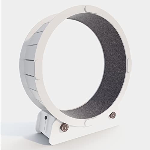 White Cat Wheel Ferris Toys Leise, Kleine Lücke Pet Cat Laufband Laufrad/Laufrad für Katzen/Kratzbrett für Katzen, Kleines Spielzeug für große Katzen White Cat Wheel Ferris Toys Leise, Kleine Lücke Pet Cat Laufband Laufrad/Laufrad für Katzen/Kratzbrett für Katzen, Kleines Spielzeug für große Katzen von LIJBN