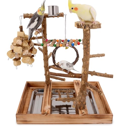 LIMIO Vogelspielplatz – Vogelsitzstange aus Naturholz mit abnehmbarem Tablett und 2 Edelstahlbechern LIMIO Vogelspielplatz – Vogelsitzstange aus Naturholz mit abnehmbarem Tablett und 2 Edelstahlbechern von LIMIO