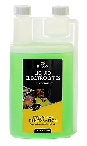 LINCOLN Flüssige Elektrolyte 1 Liter – für Pferde und Ponys von LINCOLN