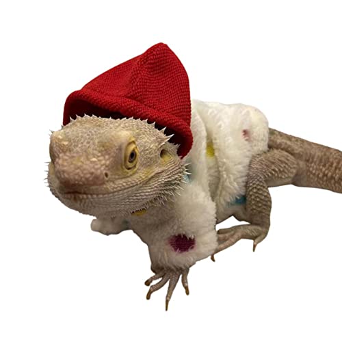 LINGJIONG Bartagamen-Kleidung - Verstellbares Eidechsen-Kostü aus Baumwolle,Reptilienbekleidung, handgefertigt für Hautschutz-Fotopartys von LINGJIONG