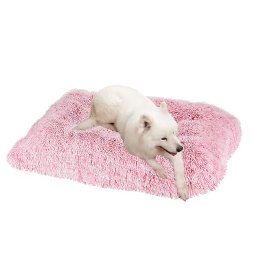 LINGXIYA Beruhigende Flauschige Hundematratze, Hundebetten, Katzenbett, Hundebett mit Anti-Rutsch-Punkten, Waschbar Haustierbett für Katzen, Große, Mittelgroße & Kleine Hunde LINGXIYA Beruhigende Flauschige Hundematratze, Hundebetten, Katzenbett, Hundebett mit Anti-Rutsch-Punkten, Waschbar Haustierbett für Katzen, Große, Mittelgroße & Kleine Hunde von LINGXIYA