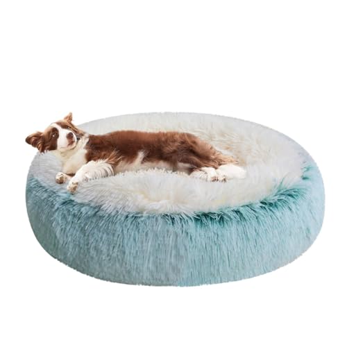 LINGXIYA Beruhigende Flauschige Katzenbett, Anti-Rutsch Hundekorb, Rund Donut Hundebett mit Rutschfesten Partikeln, Haustierbett für Kleine und Mittlere Welpen, Kätzchen, Kaninchen LINGXIYA Beruhigende Flauschige Katzenbett, Anti-Rutsch Hundekorb, Rund Donut Hundebett mit Rutschfesten Partikeln, Haustierbett für Kleine und Mittlere Welpen, Kätzchen, Kaninchen von LINGXIYA