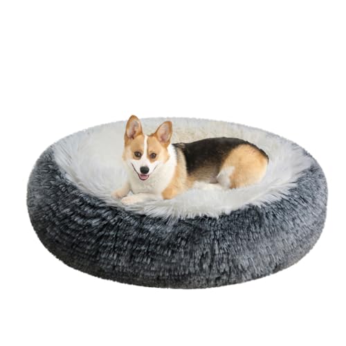 LINGXIYA Flauschig Hundebett, Orthopädisches Hundebett, Katzenkorb, Katzenbett Waschbar, Hundekissen, Rund Donut Hundekörbchen, rutschfeste Unterseite, Plüsch Haustierbett für Katzen und Hunde LINGXIYA Flauschig Hundebett, Orthopädisches Hundebett, Katzenkorb, Katzenbett Waschbar, Hundekissen, Rund Donut Hundekörbchen, rutschfeste Unterseite, Plüsch Haustierbett für Katzen und Hunde von LINGXIYA