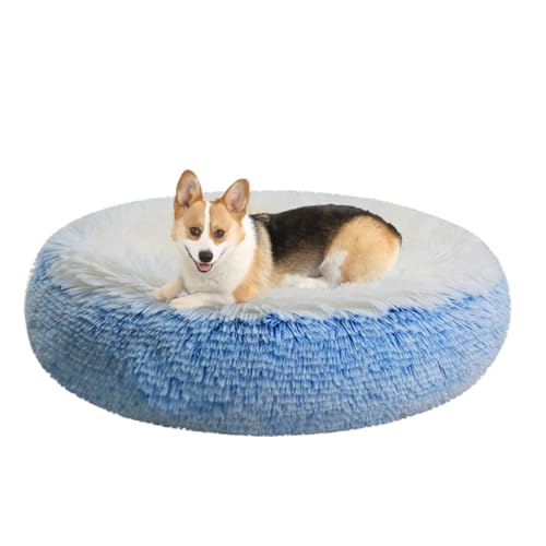 LINGXIYA Flauschig Hundebett, Orthopädisches Hundebett, Katzenkorb, Katzenbett Waschbar, Hundekissen, Rund Donut Hundekörbchen, rutschfeste Unterseite, Plüsch Haustierbett für Katzen und Hunde LINGXIYA Flauschig Hundebett, Orthopädisches Hundebett, Katzenkorb, Katzenbett Waschbar, Hundekissen, Rund Donut Hundekörbchen, rutschfeste Unterseite, Plüsch Haustierbett für Katzen und Hunde von LINGXIYA