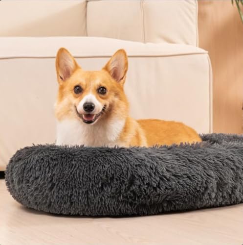 LINGXIYA Flauschig Hundebett Katzenbett, Rund Kuscheliges Hundekissen, Weich Komfortable Katzenkorb, Hunde-Beruhigungsbett, Hundebett mit Rutschfester Unterseite für Katzen/Hunde, 30x40cm von LINGXIYA