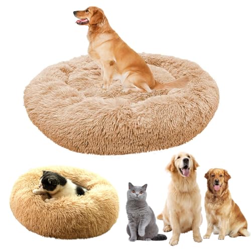 LINGXIYA Hundebett Flauschig, Rund Donut-Design Hundebett, Katzenbett, Donut Kissen, Waschbar, Hundebett mit Anti-Rutsch-Boden, Multi-Size-Haustier Hundebett für Klein-Mittelgroße Hunde-100CM, Beige LINGXIYA Hundebett Flauschig, Rund Donut-Design Hundebett, Katzenbett, Donut Kissen, Waschbar, Hundebett mit Anti-Rutsch-Boden, Multi-Size-Haustier Hundebett für Klein-Mittelgroße Hunde-100CM, Beige von LINGXIYA