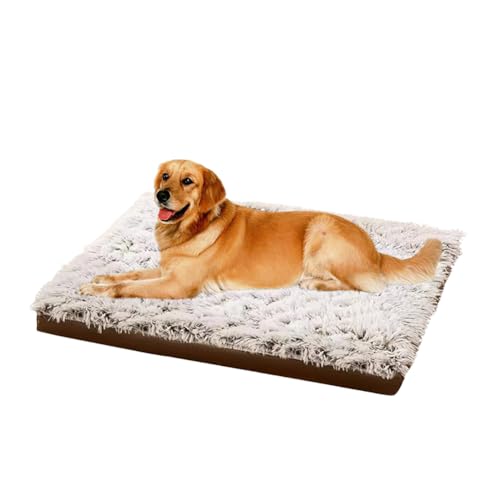 LINGXIYA Langer Plüsch Hundebett, Katzenbett, Hundebett mit Waschbarem Bezug, Rutschfestem Waschbar Hundebetten, Hundekörbchen für Kleine Mittelgroße Hunde Katzen und Andere Haustiere (50CM,Braun) LINGXIYA Langer Plüsch Hundebett, Katzenbett, Hundebett mit Waschbarem Bezug, Rutschfestem Waschbar Hundebetten, Hundekörbchen für Kleine Mittelgroße Hunde Katzen und Andere Haustiere (50CM,Braun) von LINGXIYA