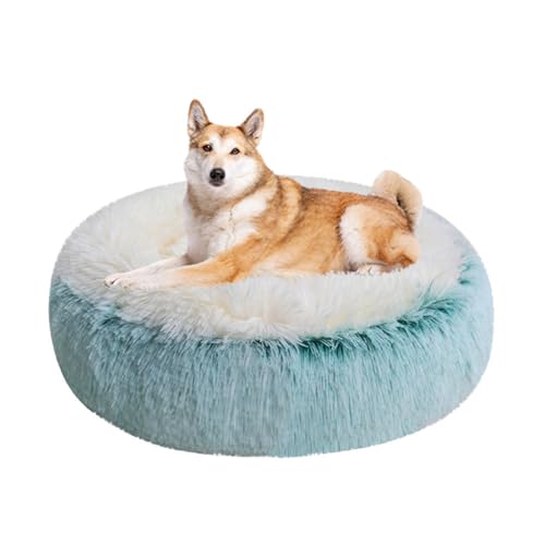 LINGXIYA Langer Plüsch Hundekissen, Rund Donut Haustierbett, Hundekorb, Katzenkorb mit Rutschfesten Partikeln, Waschbar, Flauschiges Hundebett für Mittelgroße & Kleine Hunde LINGXIYA Langer Plüsch Hundekissen, Rund Donut Haustierbett, Hundekorb, Katzenkorb mit Rutschfesten Partikeln, Waschbar, Flauschiges Hundebett für Mittelgroße & Kleine Hunde von LINGXIYA