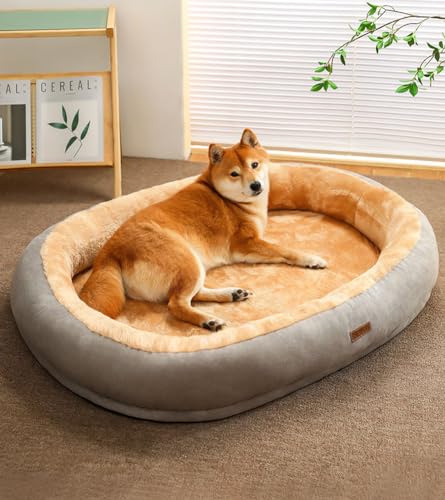 LINGXIYA Plüsch Hundematratze, Orthopädisches Hundebett, Memory Foam Hundebett, Donut Kuscheliges Hundekorb, Hundekörbchen Abnehmbar und Waschbar, für Fensterbank, Sofa, Boden, Auto, 50 * 40cm LINGXIYA Plüsch Hundematratze, Orthopädisches Hundebett, Memory Foam Hundebett, Donut Kuscheliges Hundekorb, Hundekörbchen Abnehmbar und Waschbar, für Fensterbank, Sofa, Boden, Auto, 50 * 40cm von LINGXIYA