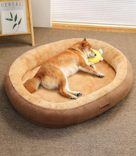 LINGXIYA Plüsch Hundematratze, Orthopädisches Hundebett, Memory Foam Hundebett, Donut Kuscheliges Hundekorb, Hundekörbchen Abnehmbar und Waschbar, für Fensterbank, Sofa, Boden, Auto, 50 * 40cm LINGXIYA Plüsch Hundematratze, Orthopädisches Hundebett, Memory Foam Hundebett, Donut Kuscheliges Hundekorb, Hundekörbchen Abnehmbar und Waschbar, für Fensterbank, Sofa, Boden, Auto, 50 * 40cm von LINGXIYA