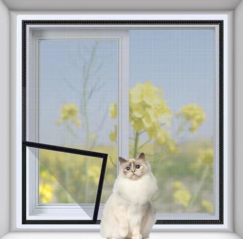 LINGXIYA Sicherheitsnetz für Katzen, reißfest, selbstklebend, mit Reißverschluss, hält Käfer, Fliegen, Mücken fern LINGXIYA Sicherheitsnetz für Katzen, reißfest, selbstklebend, mit Reißverschluss, hält Käfer, Fliegen, Mücken fern von LINGXIYA