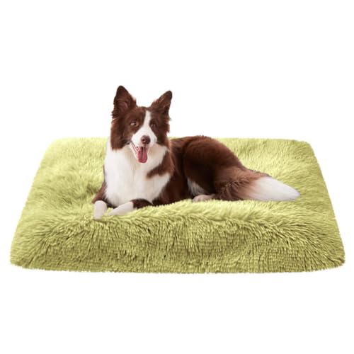 LINGXIYA Superweich Haustierbett, Katzenbett, Flauschig Hundematte, Orthopädisches Hundebett, Hundebett Waschbare, Rutschfestes Hundekissen, Hundematratze mit Abnehmbarer Deckel LINGXIYA Superweich Haustierbett, Katzenbett, Flauschig Hundematte, Orthopädisches Hundebett, Hundebett Waschbare, Rutschfestes Hundekissen, Hundematratze mit Abnehmbarer Deckel von LINGXIYA