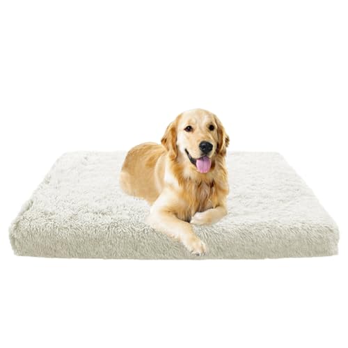LINGXIYA Warmes Weiches Plüsch Haustierbett, Orthopädisches Hundebett, Multifunktional, Tragbar Hundematte, Haustierbett mit Rutschfester Unterseite für Kleine Hunde und Katzen, Waschbar LINGXIYA Warmes Weiches Plüsch Haustierbett, Orthopädisches Hundebett, Multifunktional, Tragbar Hundematte, Haustierbett mit Rutschfester Unterseite für Kleine Hunde und Katzen, Waschbar von LINGXIYA