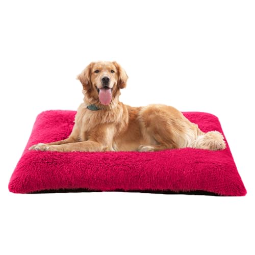 LINGXIYA Weich& Bequem Hundematte, Flauschige Hundebetten, Hundekissen mit Anti-Rutsch-Boden, Haustierkorb Waschbar für Kleine, Mittelgroße Hunde, Katzen und Andere Haustiere LINGXIYA Weich& Bequem Hundematte, Flauschige Hundebetten, Hundekissen mit Anti-Rutsch-Boden, Haustierkorb Waschbar für Kleine, Mittelgroße Hunde, Katzen und Andere Haustiere von LINGXIYA