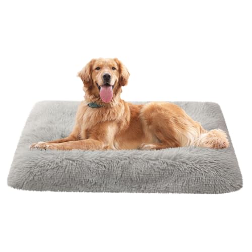 LINGXIYA Weich& Bequem Hundematte, Flauschige Hundebetten, Hundekissen mit Anti-Rutsch-Boden, Haustierkorb Waschbar für Kleine, Mittelgroße Hunde, Katzen und Andere Haustiere LINGXIYA Weich& Bequem Hundematte, Flauschige Hundebetten, Hundekissen mit Anti-Rutsch-Boden, Haustierkorb Waschbar für Kleine, Mittelgroße Hunde, Katzen und Andere Haustiere von LINGXIYA