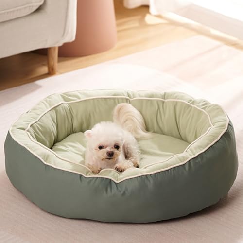 LINGXIYA Weiches Plüsch Hundebett, Atmungsaktiv Bequemes Haustierbet, Erhöhte Ränder, rutschfeste Hundebetten, Hundekissen mit Abnehmbar Waschbar Bezug (Grün,M-60 * 47 * 16CM) von LINGXIYA