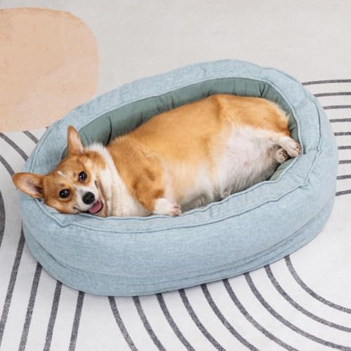 Weiches Bequemes Plüsch Hundebett, Orthopädisches Hundecouch, Hundesofa mit Abnehmbar Waschbar Bezug, Rutschfeste Unterseite, Hundekorb für Hunde und Katzen Jeden Alters (Blau,M-70*50*18cm) von LINGXIYA