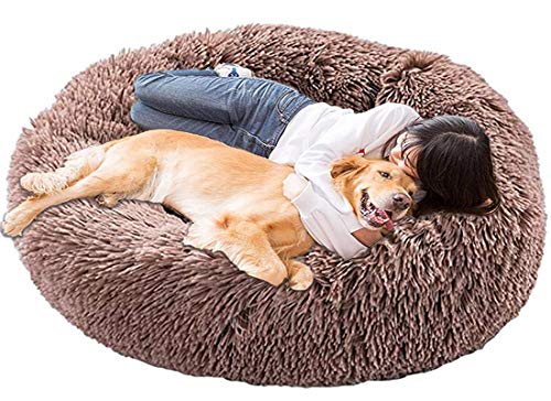 LINRUI Memory Foam XL Hundesofa Orthopädisches für Grosse Mittlere Hunde Hundekissen Waschbar Oval Hoch Hundebett Antistress Flauschiges Rund Kuschelig Hundehöhle XXL Donut Braun LINRUI Memory Foam XL Hundesofa Orthopädisches für Grosse Mittlere Hunde Hundekissen Waschbar Oval Hoch Hundebett Antistress Flauschiges Rund Kuschelig Hundehöhle XXL Donut Braun von LINRUI