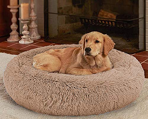 LINRUI XXL Waschbar & Antistress Hundekissen Orthopädisches Hundebett Flauschiges für Extra große Grosse Mittlere Hunde Donut Hundesofa Memory Foam Hundehöhle Oval Hoch XL Rund Kuschelig Braun LINRUI XXL Waschbar & Antistress Hundekissen Orthopädisches Hundebett Flauschiges für Extra große Grosse Mittlere Hunde Donut Hundesofa Memory Foam Hundehöhle Oval Hoch XL Rund Kuschelig Braun von LINRUI
