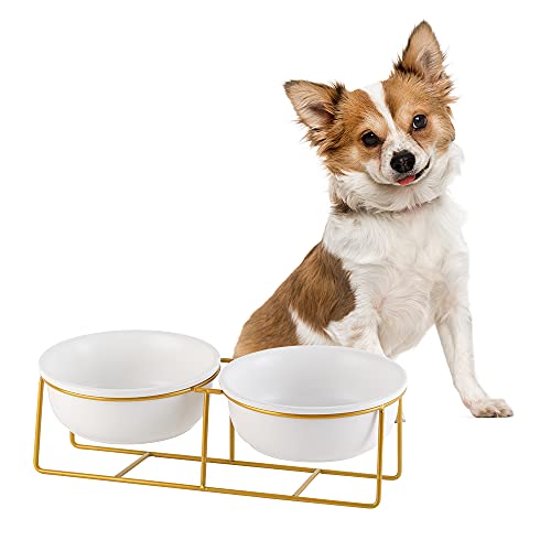 Kleine doppelt erhöhte Hundenäpfe – erhöhter Hundenapf – Keramik Hund Katze Napf Set für Futter und Wasser – Haustier Komfort Futternäpfe mit goldenem Eisenständer von LIONWEI LIONWELI