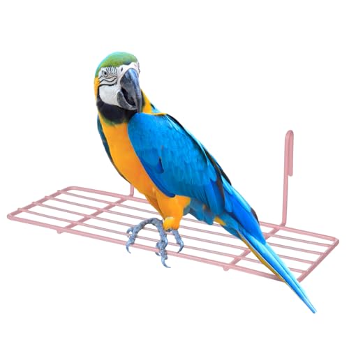 LIOOBO 1 Stück Papageienvogelkäfig Vogelkäfigstange Großer Papageienbarsch Papageien -käfigzubehör Vogelstangen Für Käfig Vogel Steht Papageien Käfig Barsch Form Papageienstange Rosa LIOOBO 1 Stück Papageienvogelkäfig Vogelkäfigstange Großer Papageienbarsch Papageien -käfigzubehör Vogelstangen Für Käfig Vogel Steht Papageien Käfig Barsch Form Papageienstange Rosa von LIOOBO