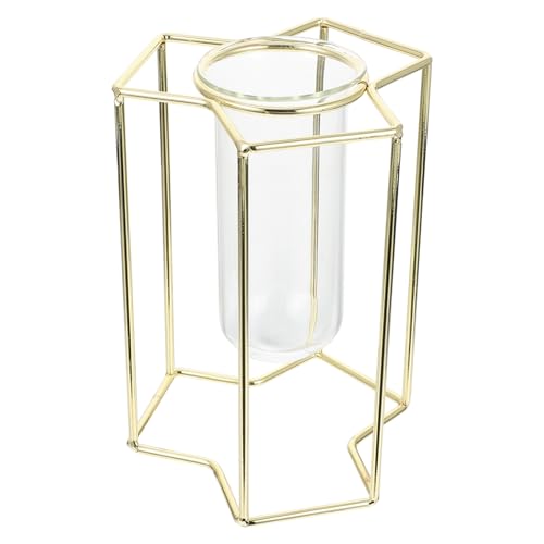 LIOOBO 1 Stück hydroponisches Glasrohr Vase wachsend Container hängend Anlage für Blumen Pflanzen Hydrokulturbehälter aus Eisengestell hydroponischer Pflanzer Pflanzgefäß aus Glas Golden LIOOBO 1 Stück hydroponisches Glasrohr Vase wachsend Container hängend Anlage für Blumen Pflanzen Hydrokulturbehälter aus Eisengestell hydroponischer Pflanzer Pflanzgefäß aus Glas Golden von LIOOBO