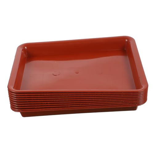 LIOOBO 10 Stück Blumentopf Tablett Pflanzenuntersetzer Pflanzschale mit drinnen Wasser Abtropfschalen für Topfpflanzen tropfschale für Pflanzen Pflanzenkabine Bonsai-Tablett Plastik LIOOBO 10 Stück Blumentopf Tablett Pflanzenuntersetzer Pflanzschale mit drinnen Wasser Abtropfschalen für Topfpflanzen tropfschale für Pflanzen Pflanzenkabine Bonsai-Tablett Plastik von LIOOBO
