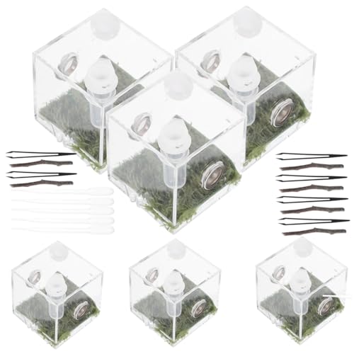 LIOOBO 2 Sätze Sprungspinnen Habitat Box Futterbox für Kleine Reptilien und Insekten als Terrarium für Florida Sprungspinnen Transparent und Atmungsaktiv von LIOOBO