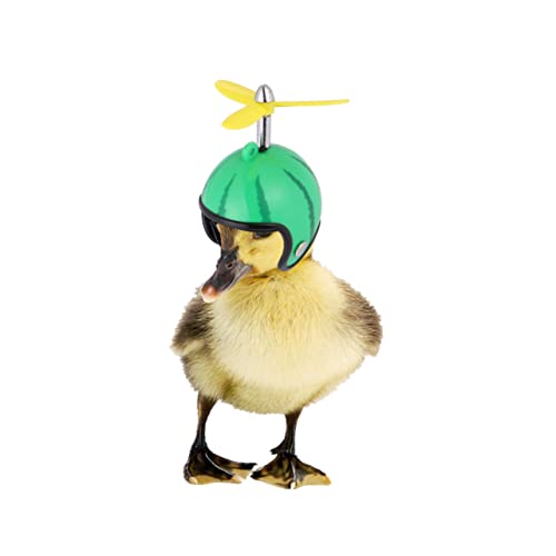 LIOOBO 2 Stück Lustiger Hühnerhelm aus Robustem Material mit UV Regenschutz Haustier schutzhelm für Hühner Vögel und Anderes Geflügel Witterungsbeständig von LIOOBO