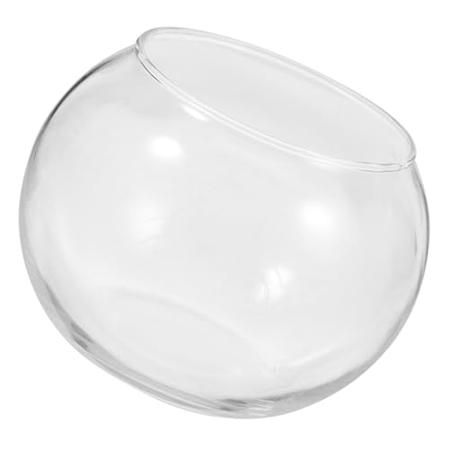 LIOOBO 2 Stück Mikro Landschaftsglasflaschen Einmachgläser Mit Deckel Fischtanks Fischschüssel Fischtank Lichtpflanzenbehälter Terrarium Schüssel Gießschüssel Vase DIY Kits LIOOBO 2 Stück Mikro Landschaftsglasflaschen Einmachgläser Mit Deckel Fischtanks Fischschüssel Fischtank Lichtpflanzenbehälter Terrarium Schüssel Gießschüssel Vase DIY Kits von LIOOBO