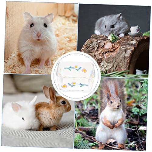 LIOOBO 2 Stück Teiliges Futterschüssel Kippsichere Kleine Napf für Hamster Kaninchen und Meerschweinchen Kompakte Transparente Trink und Fressschale für Kleintiere Einfach zu Reinigen LIOOBO 2 Stück Teiliges Futterschüssel Kippsichere Kleine Napf für Hamster Kaninchen und Meerschweinchen Kompakte Transparente Trink und Fressschale für Kleintiere Einfach zu Reinigen von LIOOBO