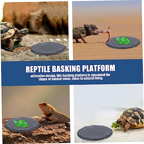 LIOOBO 2 Stück Teiliges Natürliche Schildkröten Futter und Badeplatz Langlebig Sicher für Reptilien Terrarium Dekorativ Geeignet für Eidechsen Geckos Schlangen von LIOOBO