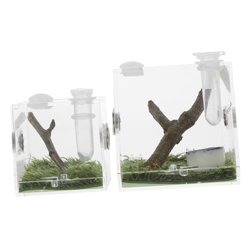 LIOOBO 2 Stück Transparente Springspinnen Zuchtbox aus Acryl mit Futteröffnung Kleines Terrarium für Spinnen Grillen Schnecken und Insekten Atmungsaktives Habitat für Kleine Reptilien von LIOOBO
