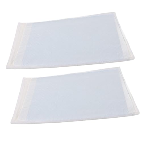 LIOOBO 2Stücke Einweg Hundepipi Pads Super Absorbierende Unterlagen für Kleine Welpen und Haustiere für Transportboxen und Zuhause für Hunde und Katzen Geeignet von LIOOBO