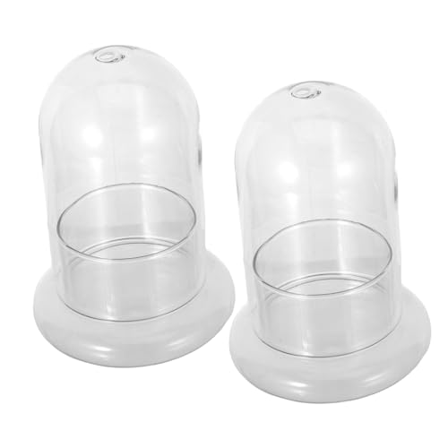 LIOOBO 2Stücke Ökologische Glasflasche für Landschaftsdekoration Terrarienflasche Borosilikatglas für Pflanzen und Miniaturornamente von LIOOBO
