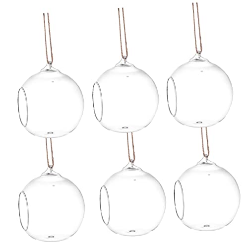 LIOOBO 6 Stück Hydrokultur Glasvase Raupendeckelständer Ausbreitungssystem Einziehbare Hydrokultur Hängetöpfe Pflanzgefäß Einzelne Terrarienpflanzen LED Seil LIOOBO 6 Stück Hydrokultur Glasvase Raupendeckelständer Ausbreitungssystem Einziehbare Hydrokultur Hängetöpfe Pflanzgefäß Einzelne Terrarienpflanzen LED Seil von LIOOBO