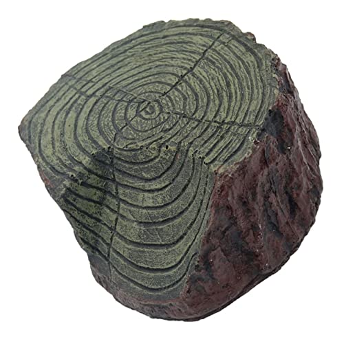LIOOBO Dekoration für Schildkrötenpanzer Trocknen Plattform Sonne Turtle Rampe klein Stand Wasser Tank Verschleißfeste Schildkrötenrampe dekorative Schildkrötenrampe Harz LIOOBO Dekoration für Schildkrötenpanzer Trocknen Plattform Sonne Turtle Rampe klein Stand Wasser Tank Verschleißfeste Schildkrötenrampe dekorative Schildkrötenrampe Harz von LIOOBO